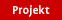 Projekt